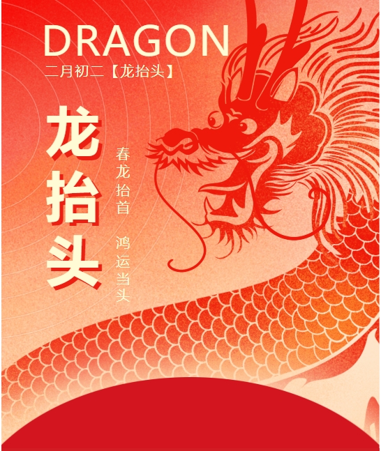 二月二龍?zhí)ь^，春龍振翅鴻運(yùn)啟 —— 佳木斯網(wǎng)云信息科技有限公司與您共迎新春盛景